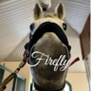 Meet your Posher, Cara